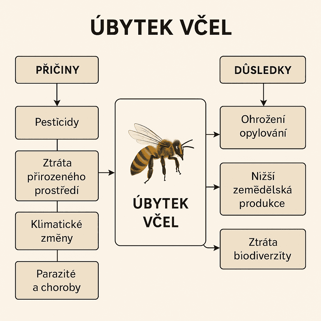 obrázek-ubytek-vcel_optimized